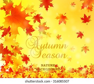 Autumn background with leaves. Vector nature background. EPS 10
