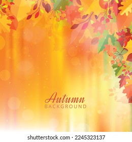Autumn background with leaves. Vector background with red, orange, brown and yellow falling autumn leaves.