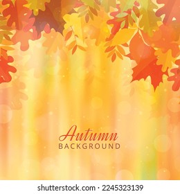 Autumn background with leaves. Vector background with red, orange, brown and yellow falling autumn leaves.