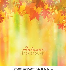 Autumn background with leaves. Vector background with red, orange, brown and yellow falling autumn leaves.