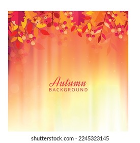 Autumn background with leaves. Vector background with red, orange, brown and yellow falling autumn leaves.