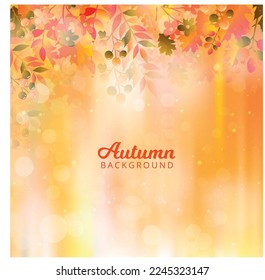Autumn background with leaves. Vector background with red, orange, brown and yellow falling autumn leaves.