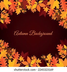 Autumn background with leaves. Vector background with red, orange, brown and yellow falling autumn leaves.