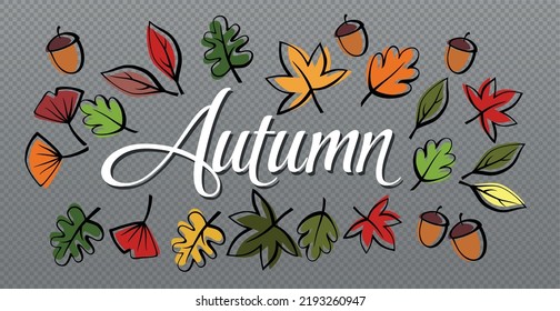 Autumn background leaves, web template transparent background - Vector illustration