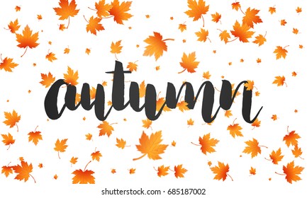 Autumn background. Autumn lettering and falling maple leaves. Template for banner, advertisement, sale etc..