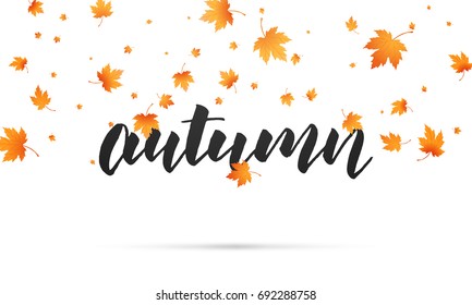 Autumn background. Autumn lettering and falling maple leaves. Template for banner, advertisement, sale etc.