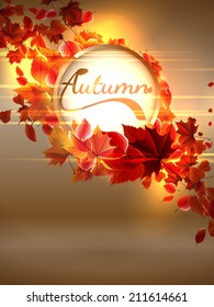 Autumn background with lights. plus EPS10 vector file