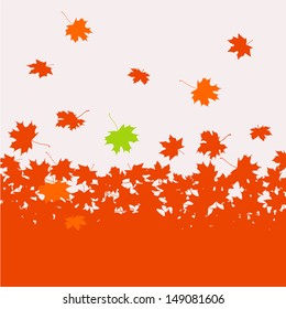 Autumn background - maple