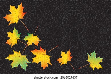 Autumn background, maple leaf leaves red yellow, green on dark grey black asphalt vector illustration