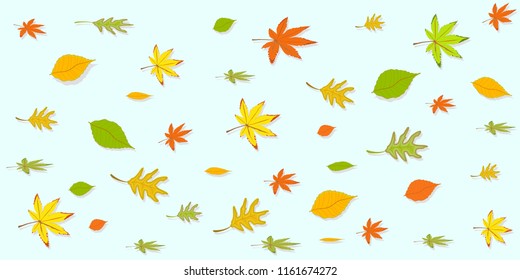Autumn background with maple leaves.