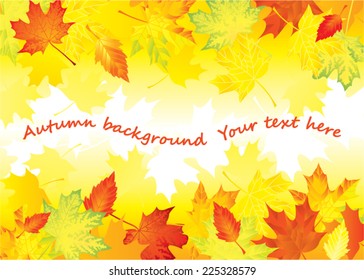 autumn background with maple leaves