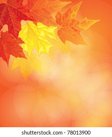 autumn background with maple leaves