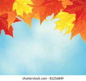 autumn background with maple leaves