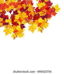 Autumn background with maple leaves against white background.  Vector Illustration.