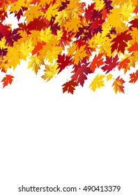Autumn background with maple leaves against white background.  Vector Illustration