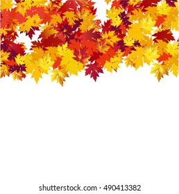 Autumn background with maple leaves against white background.  Vector Illustration
