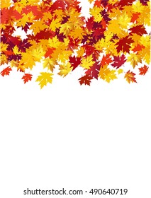 Autumn background with maple leaves against white background. Vector Illustration