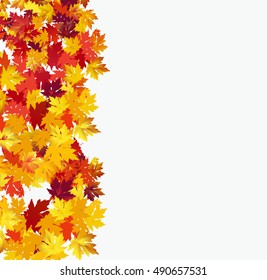 Autumn background with maple leaves against white background. Vector Illustration
