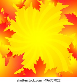 Autumn background, maple leaves, banner, poster design template, vector illustration