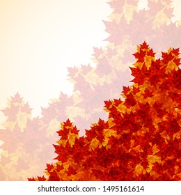 Autumn background of maple leaves. Colofrul image, vector illustration eps 10