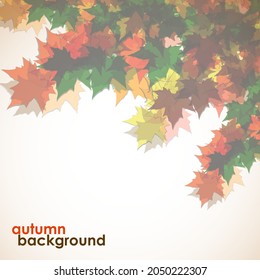 Autumn background of maple leaves. Colofrul image, vector illustration eps 10