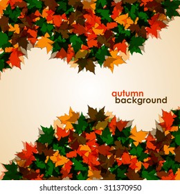 Autumn background of maple leaves. Colofrul vector image. Eps 10