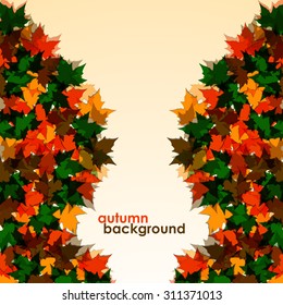 Autumn background of maple leaves. Colofrul vector image. Eps 10