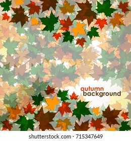 Autumn background of maple leaves. Colofrul image, vector illustration eps 10