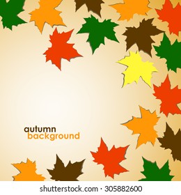 Autumn background of maple leaves. Colorful vector image. Eps 10 