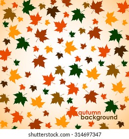 Autumn background of maple leaves. Colorful vector image. Eps 10