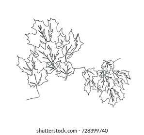 Autumn background and maple