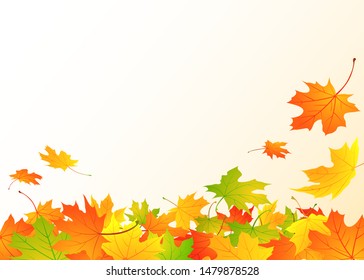 Autumn background with maple leaves and copy space