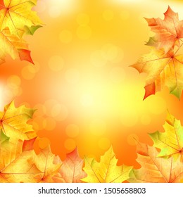 Autumn background, maple leaves on an orange background with bokeh, Vector.