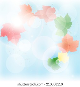 Autumn background with maple leaves on blue sky, vector illustration