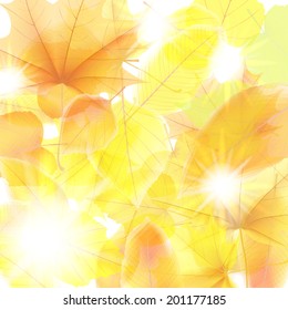 Autumn background with maple leaves. plus EPS10 vector file