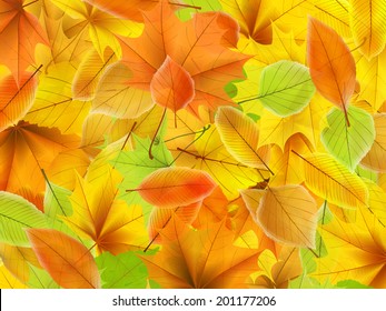 Autumn background with maple leaves. plus EPS10 vector file