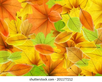 Autumn background with maple leaves. plus EPS10 vector file