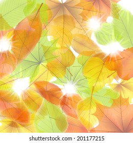 Autumn background with maple leaves. plus EPS10 vector file