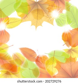 Autumn background with maple leaves. plus EPS10 vector file
