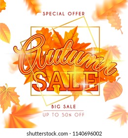 Autumn background with maple leaves vector