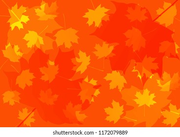 autumn background with maple leaves. vector illustration. back to school. teachers' day. thanksgiving background. grandparents day