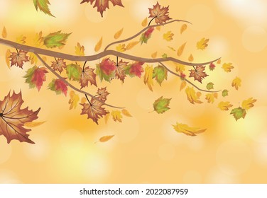 Autumn background with maple leaves. Vector illustration
