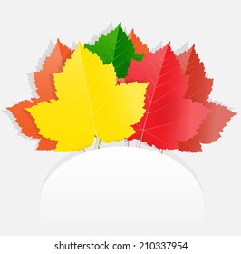 Autumn background with maple leaves, vector illustration