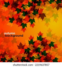 Autumn background of maple leaves. Vector illustration