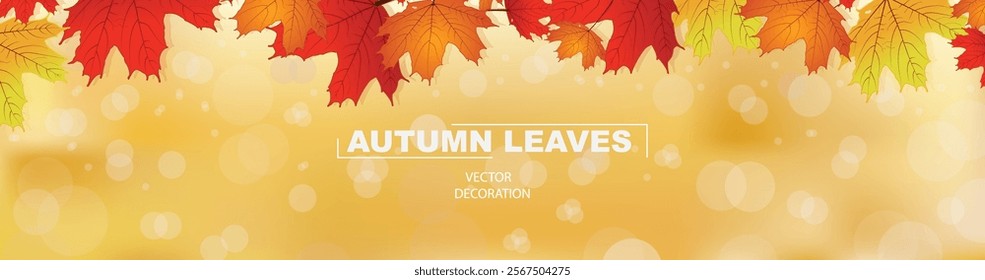 Autumn background with maple leaves. Vector background, Maple Canada leaves. Bokeh background maple leaves.