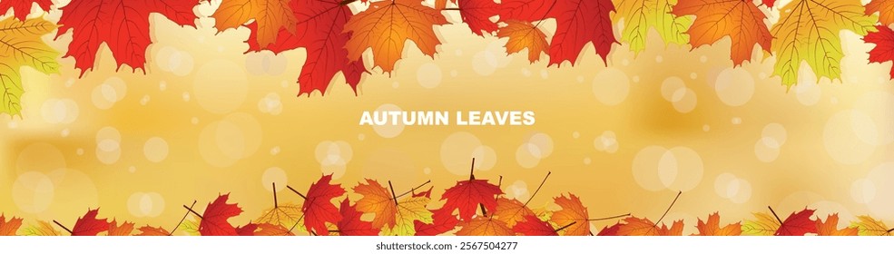 Autumn background with maple leaves. Vector background, Maple Canada leaves. Bokeh background maple leaves.