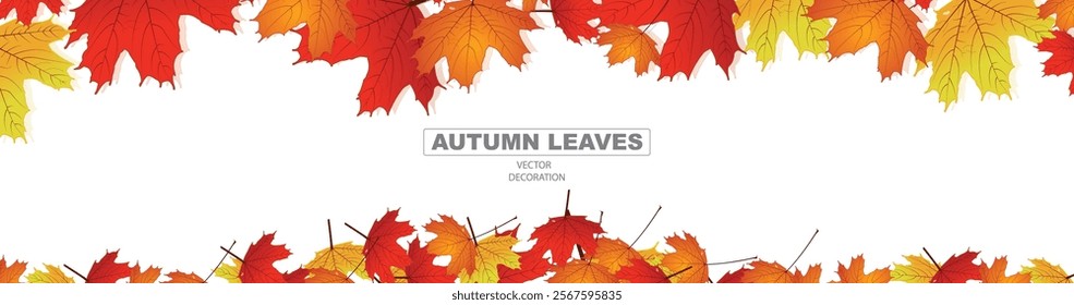 Autumn background with maple leaves. Vector background, Maple Canada leaves. Bokeh background maple leaves.