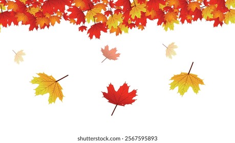 Autumn background with maple leaves. Vector background, Maple Canada leaves. Bokeh background maple leaves.