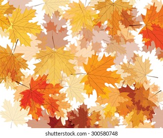 Autumn background with maple leaves. Vector