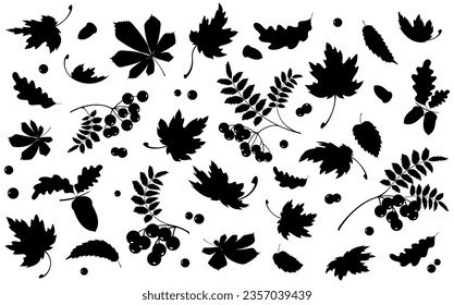 Autumn background with maple, oak, chestnut and rowan leaves. Background template with flying and falling leaves. Seamless pattern. Black isolated silhouette. Vector illustration